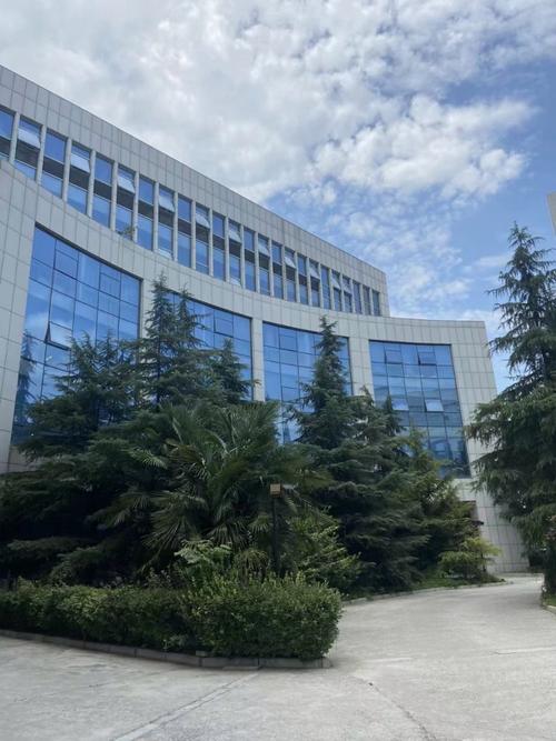 寻找用心专注的支点 记北京心专注教育科技集团郑州分公司的脉络与温度