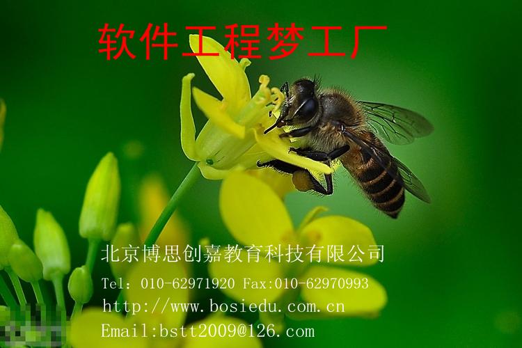 高级系统架构师培训