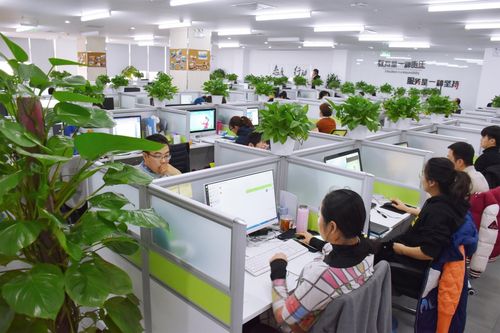 北京捷足先登教育科技
