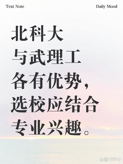 北京科技大学和武汉理工大学均为教育部直属的211,双一流高校,各有